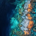 finestra di tolleranza, fenomenologia, suono, regolazione emotiva